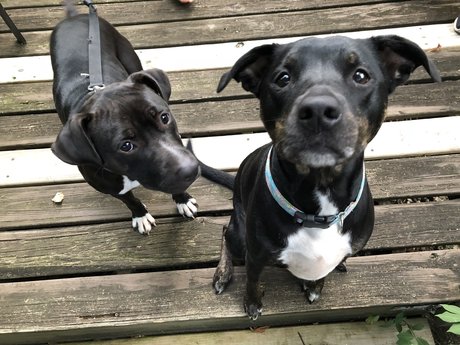 u7984023 sex actress img