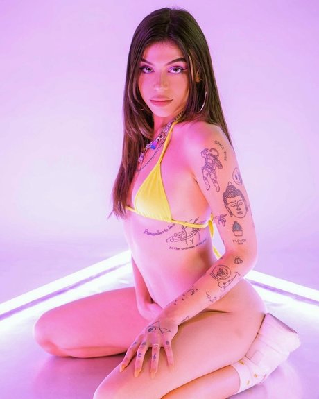 Playbaby pornstar art archive