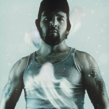 LionLikeMike art star pictures