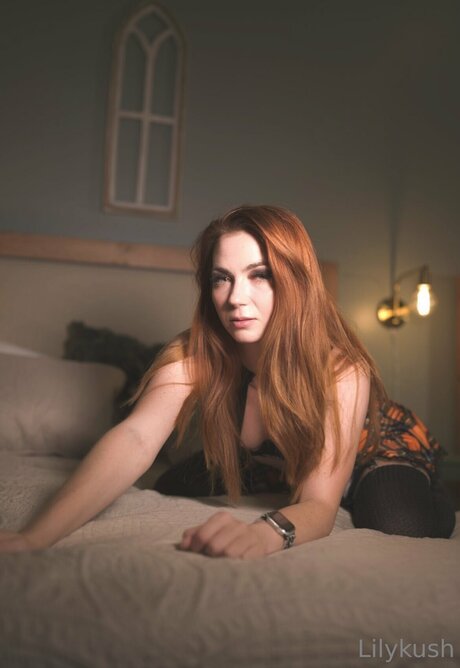 Lilykushfree pornstar top galleries