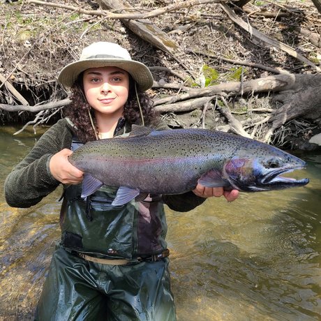 looncaster nice pornstar archive