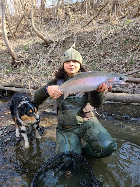 looncaster model nice pictures