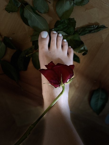 Lolly Toes_ top actress galleries