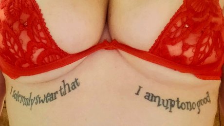 Lola and Mr Mustache nice star pictures