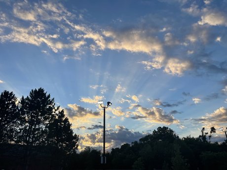 Adriana Lynn star nice pictures