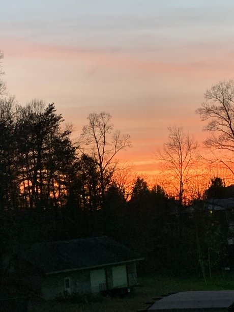 Lydia Lutz high quality star gallery