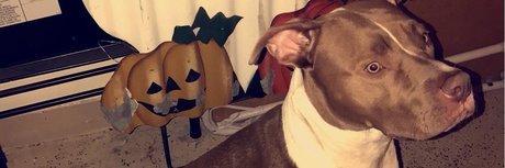 SideNigga Treey II_ beautiful pornstar pictures