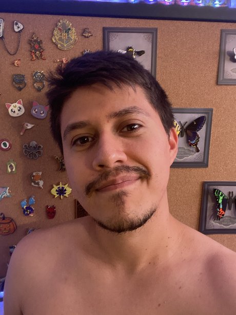 Luisinundies star pornographic picture