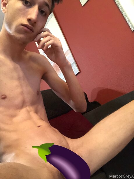 Marcos Grey_ star pornographic archive