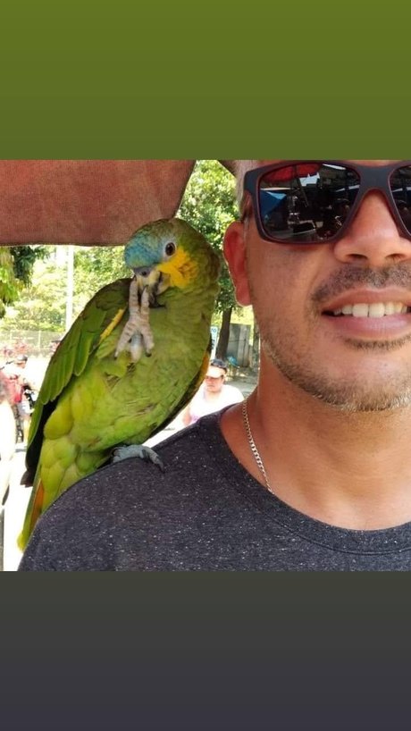 Marcello Rio de janeiro nudes star image