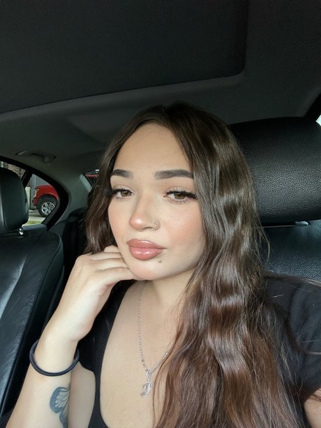 Mamicilla pretty star photo