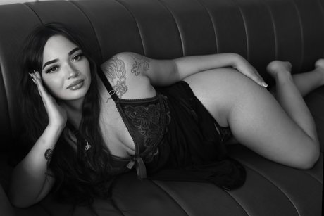 Mamicilla star high quality photo