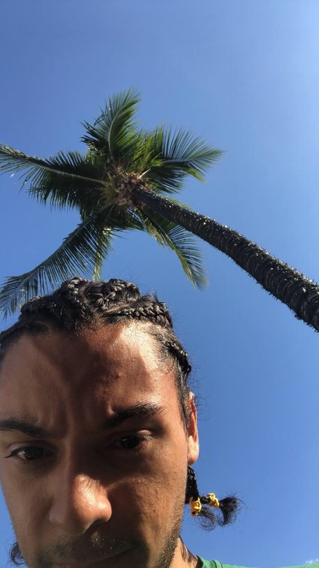 Tom K art star gallery