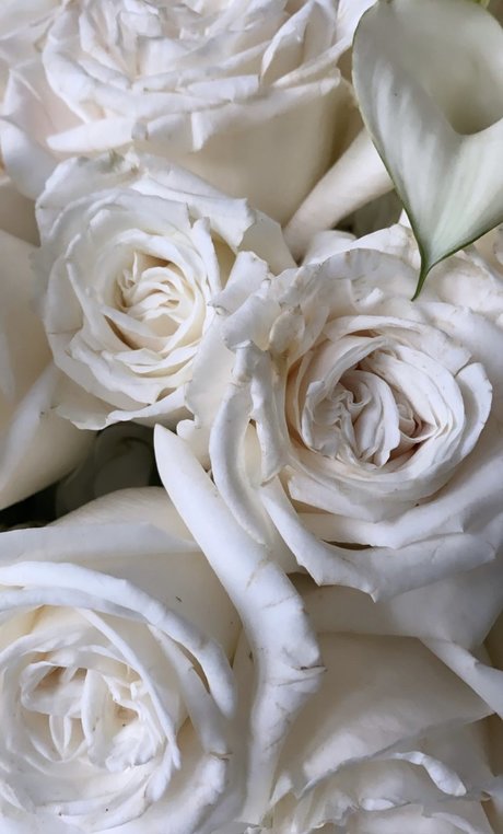 _helle model nudes gallery