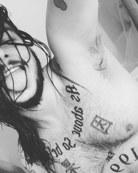 MidwesternBear star pretty img