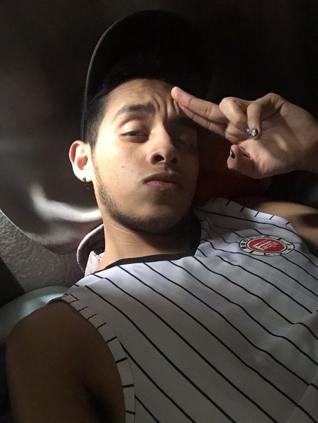 Roberto Medina adult star galleries