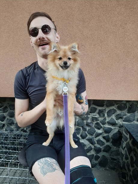 Shulha Oleksa free star images