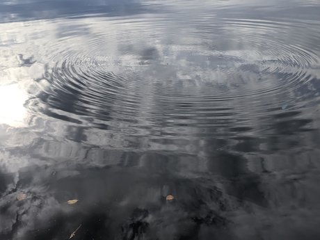 Moon Heart model hot galleries