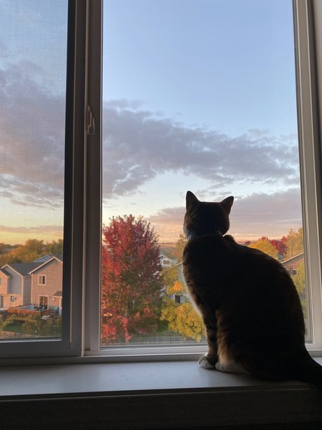 Feets R Us star photos