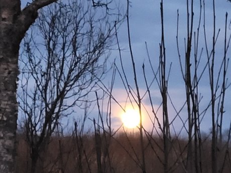 _PROMO Miss Shadow FREE star high quality images