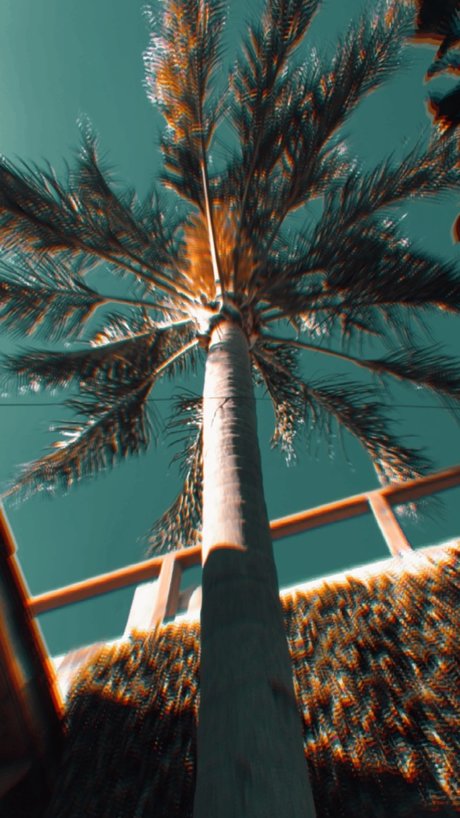 Desmon model art archive