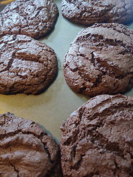 Melissa Myers sexy actress image