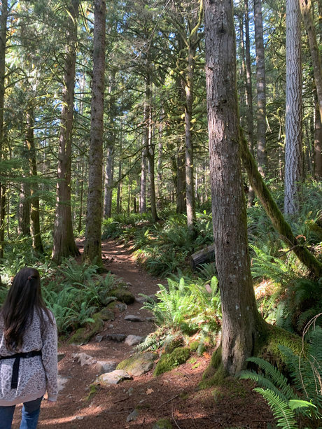 MisschievousKat star beautiful archive