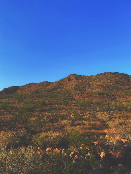 _Stella Rose_ nice actress galleries