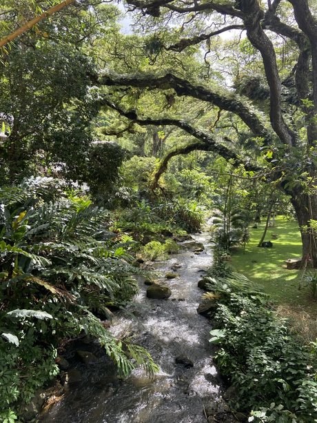 Kaelyn Michelle_ star hd image