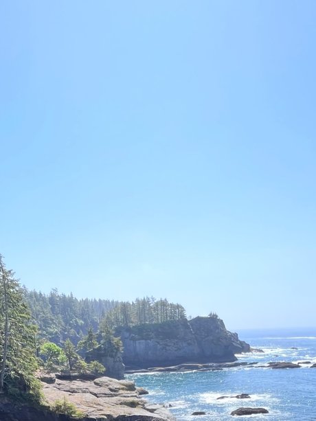 naewizzl star high quality gallery