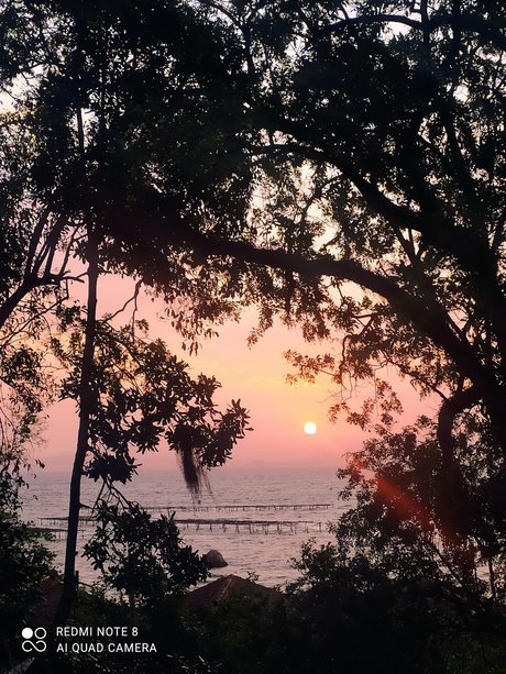 Natane Machado porn actress photos