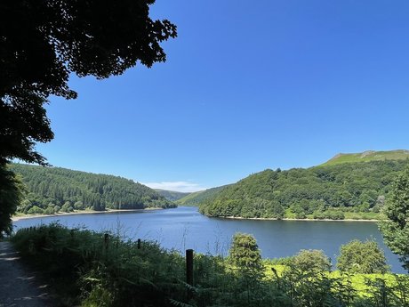 Morgs Olivia best star pictures