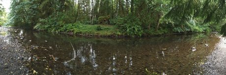 Nickelatnight pornstar free pictures