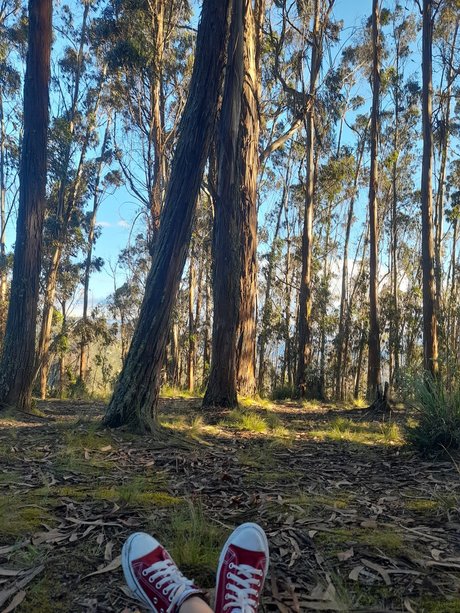 Nicky P pornstar adult image