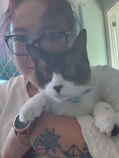 DanBi pornstar hot pics