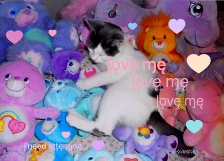 vampoir porn star galleries