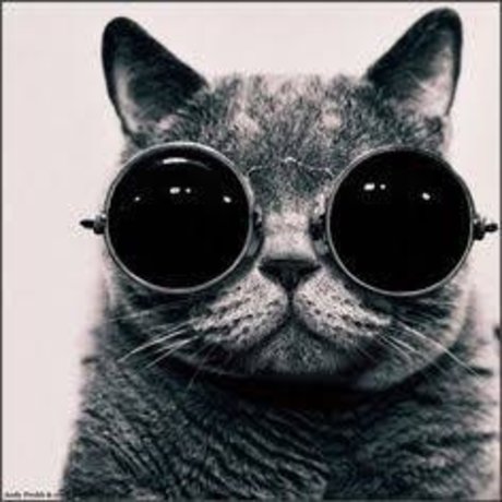 David Gadellha pornstar xxx pic