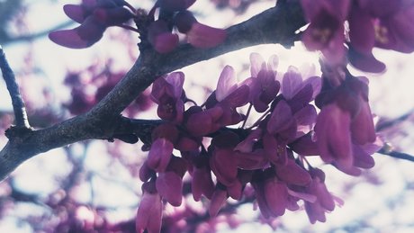 Nature Thighs top actress img