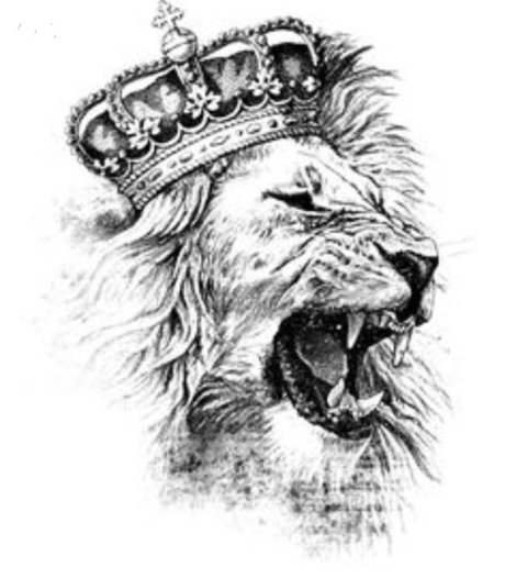 WhyG star sexy pictures