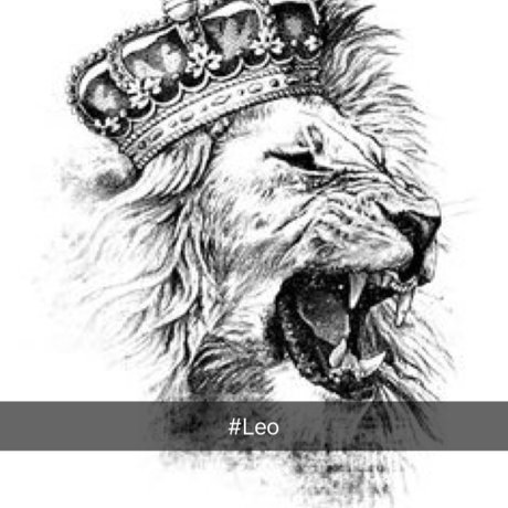 WhyG nice model image