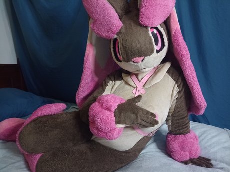 naoko project model perfect img