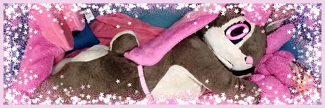 naoko project nice star pic