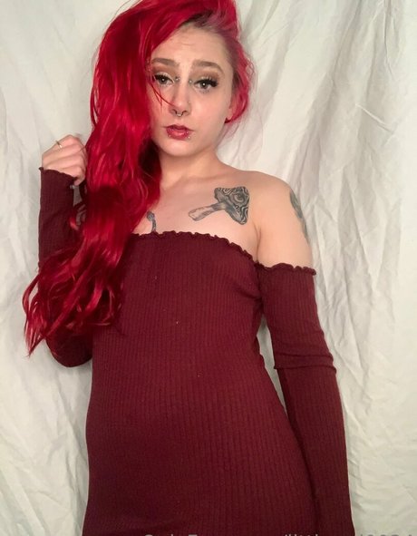 scarlett sin24 best star gallery