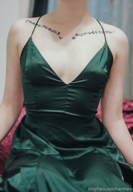 Harlihero model top images