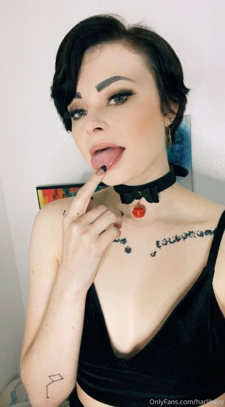 Harlihero Profile pic