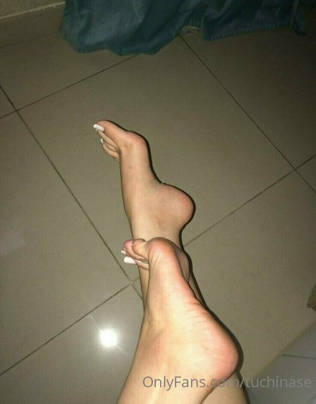 tuchinase high quality star gallery