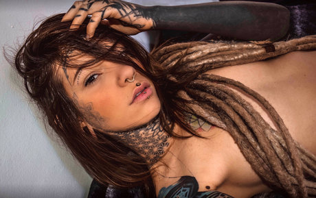 DarkLeaves model best archive