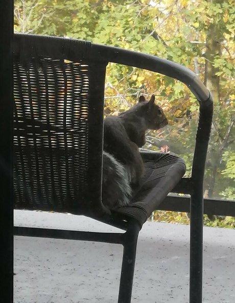 rubyoreilly nude actress img