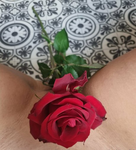 mystic kitty90 model art pictures