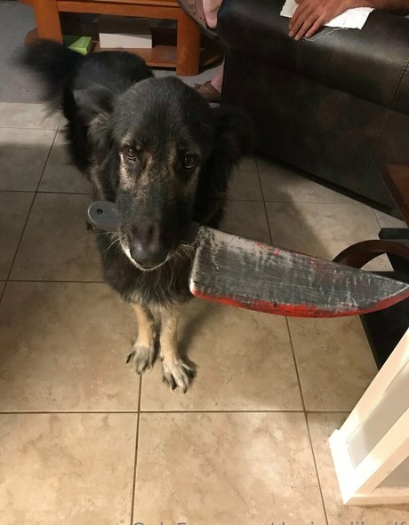 deviouslilwolf pornographic actress archive